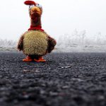 state retirement plan