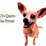 investment for retirement