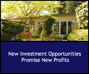 New Investing Opportunities Promise Profits